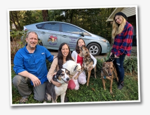 Pet Sitting Services For The Foothills Of Sc And Nc - Pet Sitting