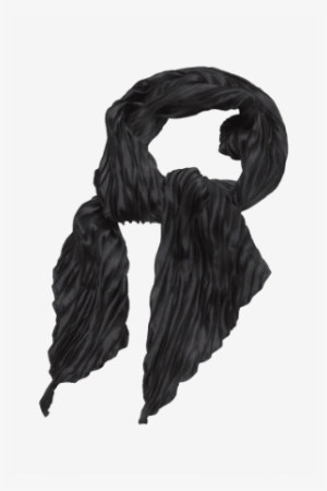 Buy Evergreen Black Scarf - Peter England