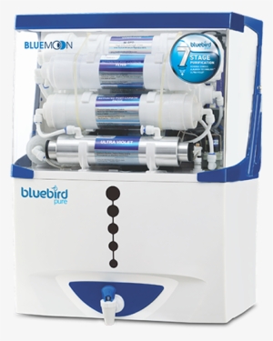 Bluemoon - Blue Bird Ro Price