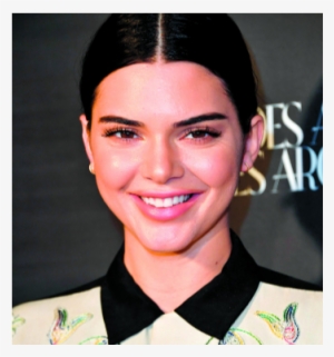 Kendall Jenner Selfie With Fans