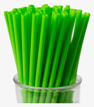 Straws - No Plastic Is Fantastic