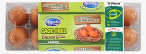 Magnolia Cage-free Brown Eggs - Egg