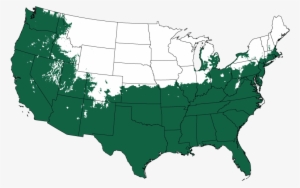 Kay Parris Magnolia - Many Days Of School Can You Miss