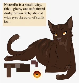 Mousefur By Purespiritflower - Color Warrior Cat Eyes