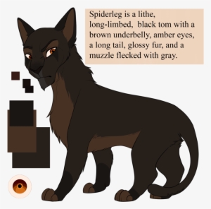 Spiderleg By Purespiritflower - Black Cat With Brown Underbelly