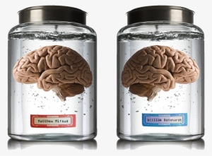 Creative Brains For Sale