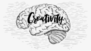 Black And White Stock Brain Imagination Central Nervous - Imagination Drawing