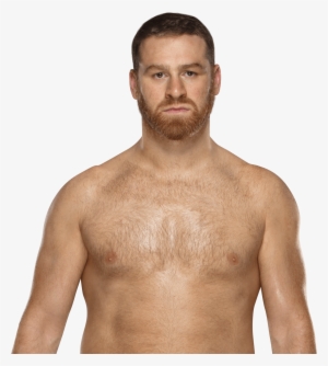 Shane Mcmahon, Sami Zayn - Sami Zayn United States Champion