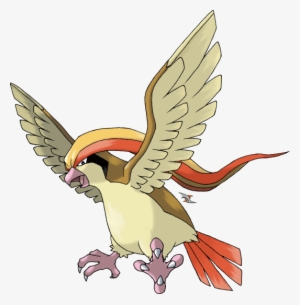 He's Actually A Pidgeot - Pokemon Pidgeot