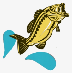 Fish Jumping