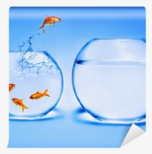 Goldfish Jumping Out Of The Water Wall Mural • Pixers® - Jump To Conclusions Fish