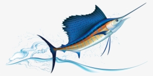Sailfish Jumping Out Of Water Realistic Vector Illustration - Sail Fish