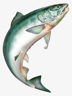 Salmon Jumping Png - Salmon Jumping
