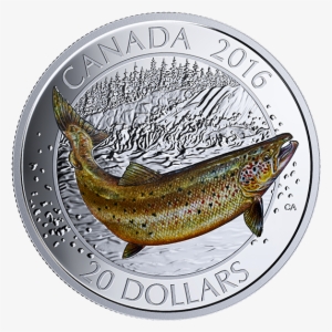 Pure Silver Coloured Coin Big Fish Series - Salmon Coin