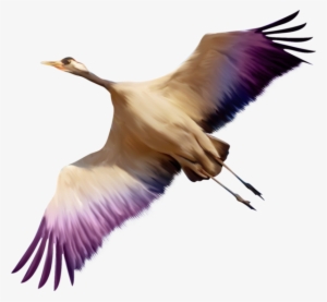 Bird Png - Летящая Птица Png