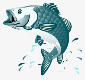 Fish Jumping Clipart Png