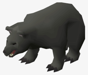 Black Bear - American Black Bear