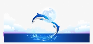 Dolphin Transparent Water Png