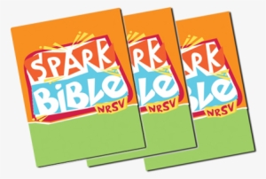 Bibles For Sunday School Students - Spark Bible: New Revised Standard Version