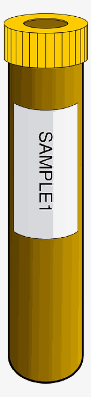 Illustration - Biology