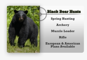 At Tippmann Outfitters, Black Powder And All Forms - Common Core