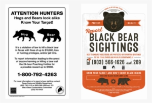 Encourage Others To Report Possible Bear Sightings - Bear In Texas