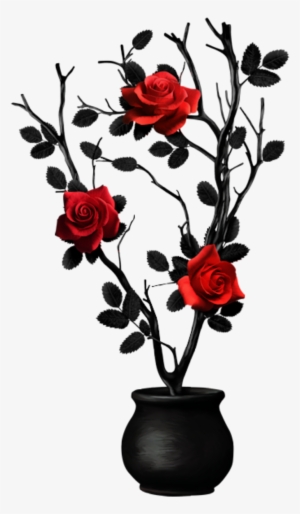 Kit Dark-girls01de - Garden Roses