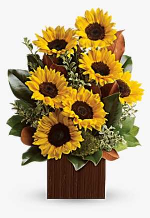 Sunflower Happiness - Flowers - You're Golden Bouquet By Teleflora