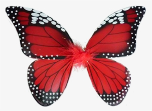 Low Prices For Cute Kid Things - Butterfly Wings Png Hd