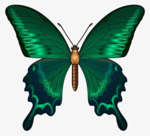 Largest Collection Of Free To Edit Butterfly Stickers