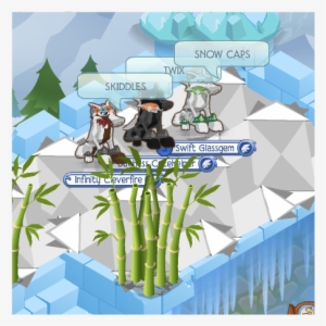 Candy Types - Illustration