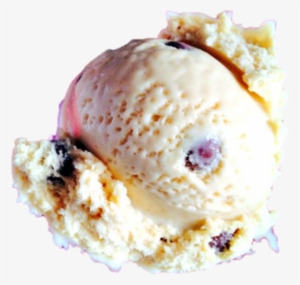 Dessert Lab Roll Ice Cream In Arlington,dallas,fort - Soy Ice Cream