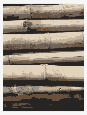 Medium Image - Plank