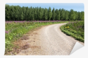 Curved Dirt Road With Flowers And Forest Wall Mural - Dirt Road