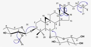 Key 1 H-1 H Cosy And Hmbc (blue Arrow - Diagram