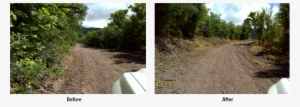 Two Images Showing Forest Road Before And After Brush - Cutting Forest Befor And After