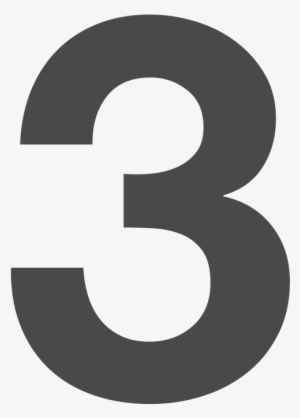3 - Numerical Digit