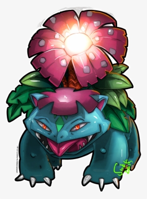 Mega Blastoise Mega Venusaur - Illustration