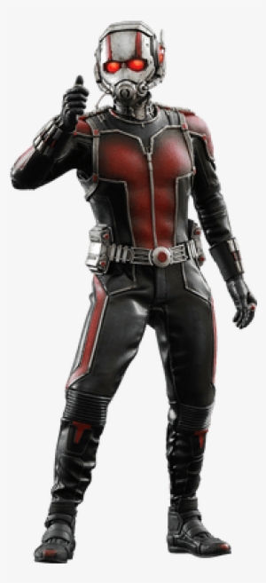 Ant Man Standing - Hot Toys Marvel Ant-man 1:6 Scale Figure