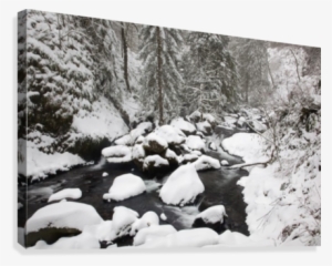 Columbia River Gorge National Scenic Area, Oregon,