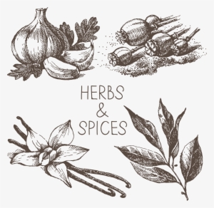 Graphic Black And White Drawing Royalty - Spices Black And White Png