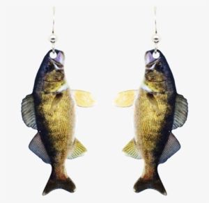 Walleye - D'ears Women's Fish Earrings - Stainless Steel - Hypoallergenic