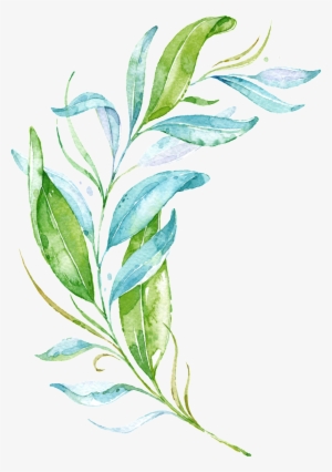 Green Fresh Watercolor Branches Transparent