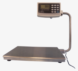 Electronic Bench Scales For The Food Industry - Strain Gauge Scale