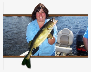 Walleye In The River Average In The - Lunge