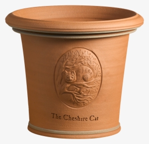 Cheshire Cat - Cup