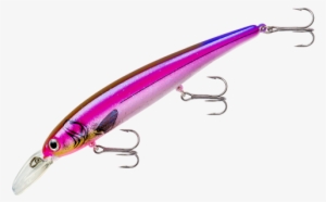 Bandit Walleye Shallow