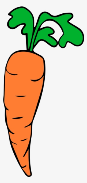 Png Stock Carrot Clipart Orange