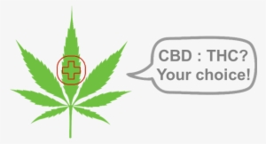 Customize Your Own Hemp Variety With Phytowelt - Pot Leaf