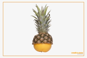 Pineapple And Grapefruit Transparent - Pineapple
